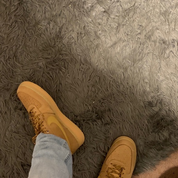 Meet your Posher, Harrison - Picture 4 of 5